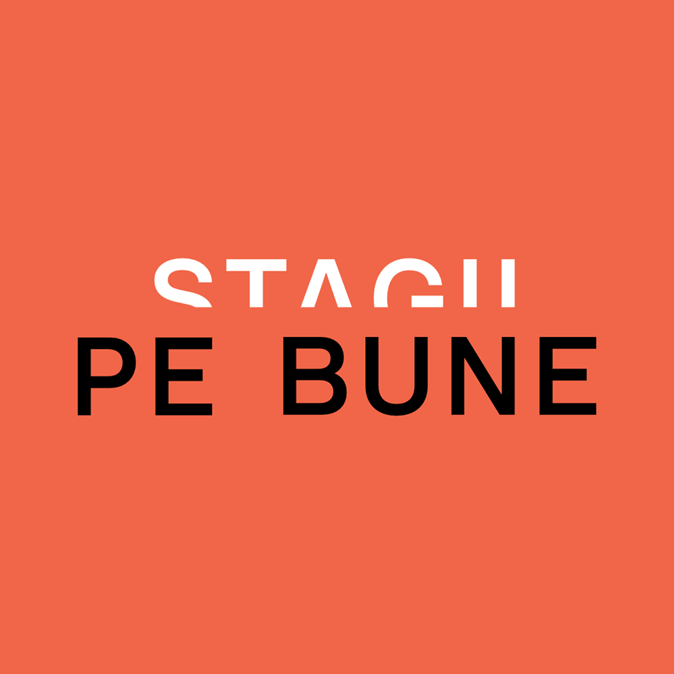 stagii_pe_bune.png